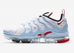 Air Vapormax TN Plus-063 Shoes